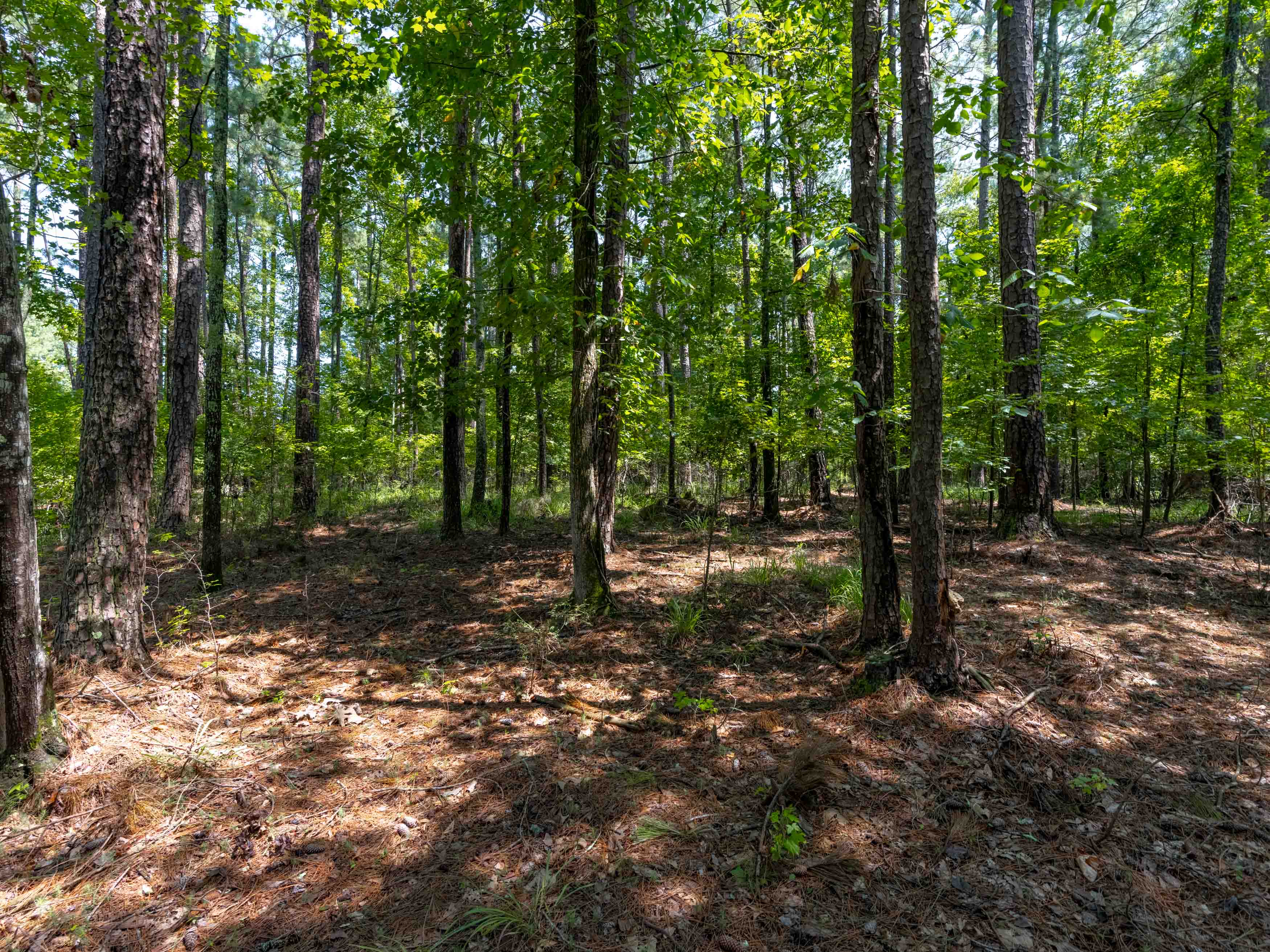 1810 Garners Ferry Reynolds Lake Oconee